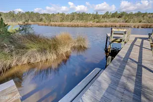 228 Egret Point Dr, Sneads Ferry, NC 28460 - Photo 71