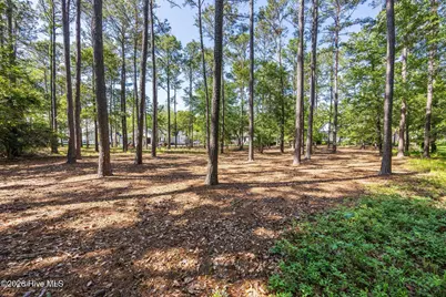 539 Long Meadow Drive SE, Bolivia, NC 28422 - Photo 55