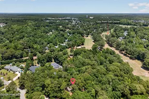 100 Wedge Rd, Hampstead, NC 28443 - Photo 53