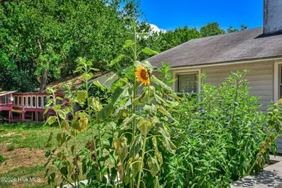 3001 Jasmine Place, Augusta, GA 30906 - Photo 29
