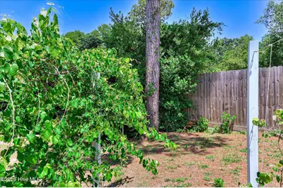 3001 Jasmine Place, Augusta, GA 30906 - Photo 47