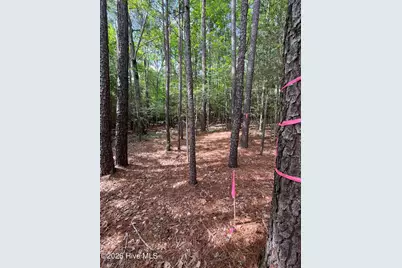 Lot 84 Appaloosa Lake Drive, Carthage, NC 28327 - Photo 7
