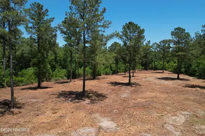 Sr 1323 Dowd Dairy Road, White Oak, NC 28399 - Photo 11
