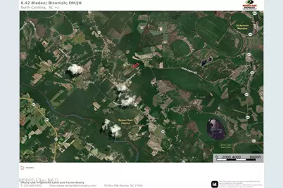 Sr 1323 Dowd Dairy Road, White Oak, NC 28399 - Photo 19