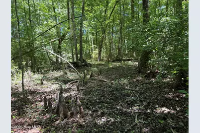 Sr 1323 Dowd Dairy Road, White Oak, NC 28399 - Photo 15