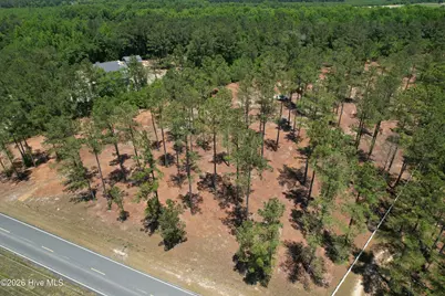 Sr 1323 Dowd Dairy Road, White Oak, NC 28399 - Photo 7