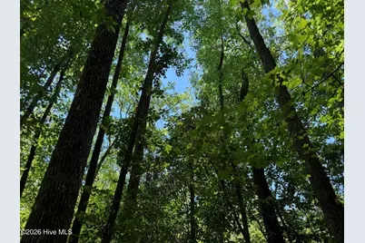 Sr 1323 Dowd Dairy Road, White Oak, NC 28399 - Photo 17