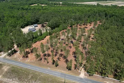 Sr 1323 Dowd Dairy Road, White Oak, NC 28399 - Photo 1
