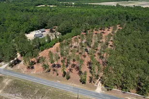 Sr 1323 Dowd Dairy Rd, White Oak, NC 28399 - Photo 1