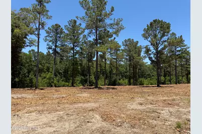 Sr 1323 Dowd Dairy Road, White Oak, NC 28399 - Photo 13