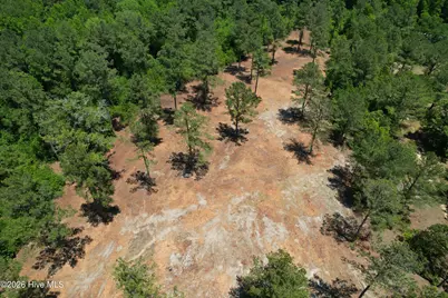 Sr 1323 Dowd Dairy Road, White Oak, NC 28399 - Photo 9