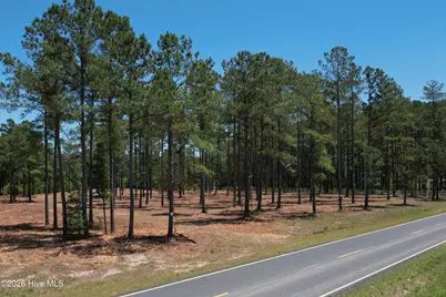 Sr 1323 Dowd Dairy Road, White Oak, NC 28399 - Photo 5