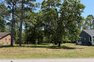 808 Black Swan Rd, New Bern, NC 28560 - Photo 1