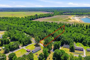 214 Ola Belle Rd, Burgaw, NC 28425 - Photo 37