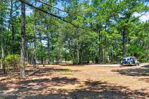 21549 NC-210, Ivanhoe, NC 28447 - Photo 51