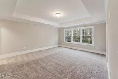 237 Dona Drive, Carthage, NC 28327 - Photo 27
