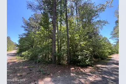849 Hawthorne Drive, Vass, NC 28394 - Photo 3
