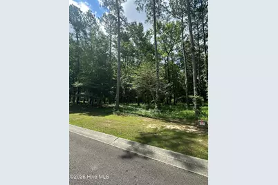201 Lockhaven Drive SE, Bolivia, NC 28422 - Photo 3
