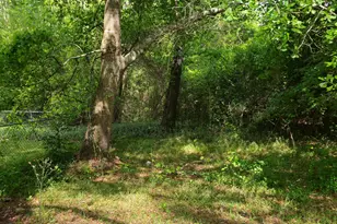 103 Old Fountain Rd, Richlands, NC 28574 - Photo 5