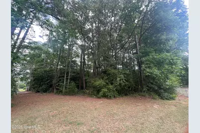 0 McLamb Street, Roseboro, NC 28382 - Photo 1