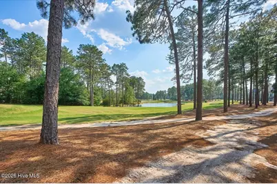 70 Cochrane Castle Circle, Pinehurst, NC 28374 - Photo 141