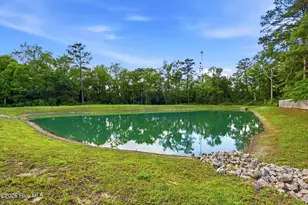 1636 Bellamy Pl Dr, Leland, NC 28451 - Photo 29