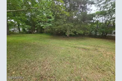 1115 Hargrove Street, Rocky Mount, NC 27801 - Photo 3