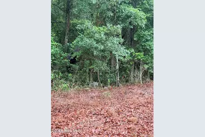 [Address not provided], North, SC 29112 - Photo 5