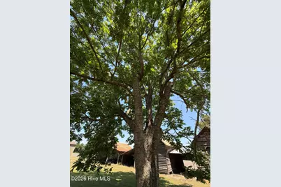 142 Lester Lane Road, Tyner, NC 27980 - Photo 3