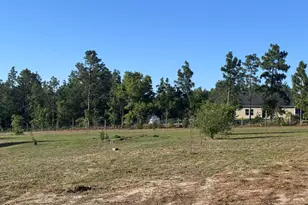 4441 Etterle Rd, Blythe, GA 30805 - Photo 11