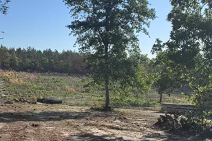 4441 Etterle Rd, Blythe, GA 30805 - Photo 9