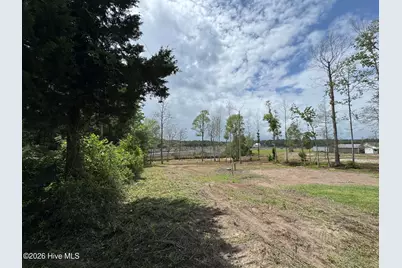 145 Misty Hollow Lane, Sneads Ferry, NC 28460 - Photo 11