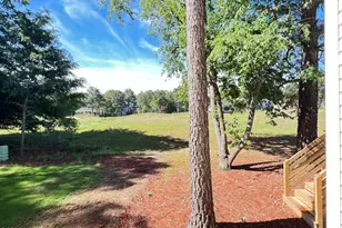 568 Bald Eagle Dr, Vass, NC 28394 - Photo 37