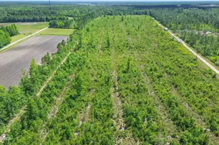 5840 Green Swamp Rd NW, Ash, NC 28420 - Photo 49