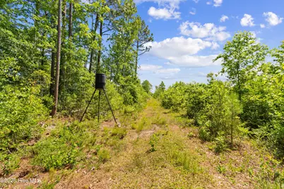 5840 Green Swamp Road NW, Ash, NC 28420 - Photo 31