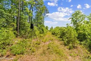 5840 Green Swamp Rd NW, Ash, NC 28420 - Photo 31
