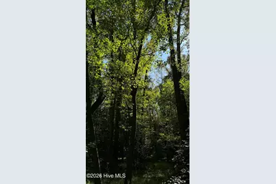 0 Union Church Road, Cameron, NC 28326 - Photo 5