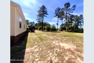 20941 Iris Drive, Wagram, NC 28396 - Photo 33