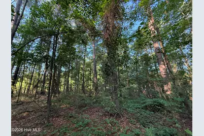 470 Acres Lane NW, Calabash, NC 28467 - Photo 17