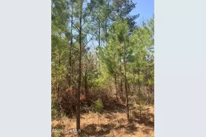 Tbd Healing Acres Lane, Carthage, NC 28327 - Photo 17