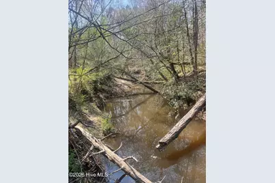Tbd Healing Acres Lane, Carthage, NC 28327 - Photo 5