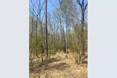 Tbd Healing Acres Lane, Carthage, NC 28327 - Photo 7