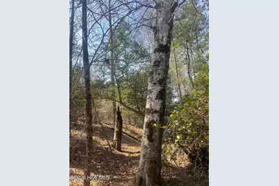 Tbd Healing Acres Lane, Carthage, NC 28327 - Photo 13