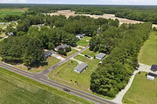 3373 White Blossom Dr, Winterville, NC 28590 - Photo 33