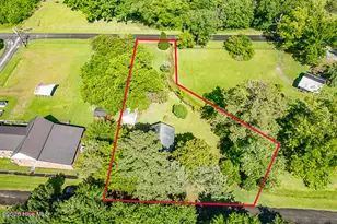 44 Jackson St, Bayboro, NC 28515 - Photo 23