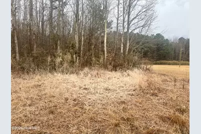 0 Center Hill Highway, Hertford, NC 27944 - Photo 3