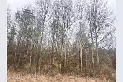 0 Center Hill Highway, Hertford, NC 27944 - Photo 5
