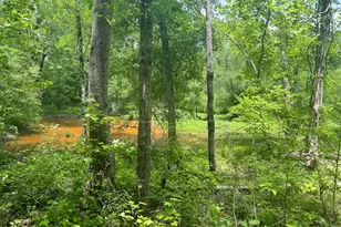 846 Briggs Rd, North Augusta, SC 29860 - Photo 45