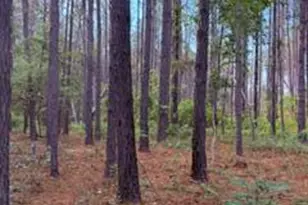 645 Bent Knee Rd, Keysville, GA 30816 - Photo 35