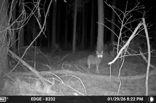 645 Bent Knee Rd, Keysville, GA 30816 - Photo 27